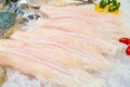 Fillet of Fish Pangasius on ice Royalty Free Stock Photo