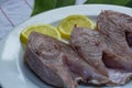 Fresh raw fish on white plate with green leaf and lemon Royalty Free Stock Photo