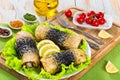Fillet of mackerel in rolls on lettuce leaves Royalty Free Stock Photo