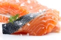 Fillet and salmon steak, trout, red fish Royalty Free Stock Photo