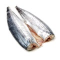 Fillet of Spanish Mackerel Slide Royalty Free Stock Photo