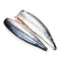 Fillet of Spanish Mackerel Slide Royalty Free Stock Photo