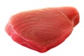 Fillet of Tuna Fish