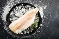 Fillet of white sea cold-water fish cod in ice cubes on a dark background. Top view Royalty Free Stock Photo