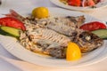 Filleted Common dentex fish on a plate Royalty Free Stock Photo