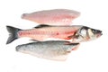 Filleted fish and fillets