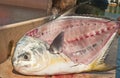 Filleted twelve pound permit fish