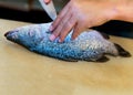 Filleting fish Royalty Free Stock Photo