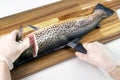 Filleting trout Royalty Free Stock Photo