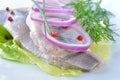 Fillets of white herring Royalty Free Stock Photo