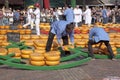 Filling barrows at cheese market in Alkmaar, Holla