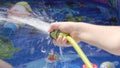 Filling Inflatable pool with water from hose in garden