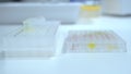 Filling of microplate using automatic pipette for ELISA test or immuno assay.