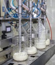 Filling milk into plastic bottles at the factory. equipment in dairy factory. Milk bottling machine Royalty Free Stock Photo