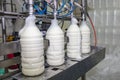 Filling milk into plastic bottles at the factory. equipment in dairy factory. Milk bottling machine Royalty Free Stock Photo