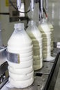 Filling milk into plastic bottles at the factory. equipment in dairy factory. Milk bottling machine Royalty Free Stock Photo