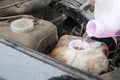 Filling of non-freezing liquid in the glass washer tank in the car Royalty Free Stock Photo