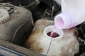 Filling of non-freezing liquid in the glass washer tank in the car Royalty Free Stock Photo