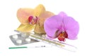 Film-coated tablets, mercury thermometer, ovulation test, orchid flowers