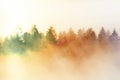 Film effect.Pink daybreak in hilly landcape. Autumn misty morning in a beautiful hills. Peaks of trees Royalty Free Stock Photo