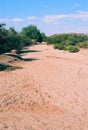 Arizona Desert Arroyo on Film