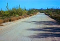 Dirt Road Sonora Desert Arizona on Film Royalty Free Stock Photo