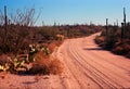 Dirt Road Sonora Desert Arizona on Film Royalty Free Stock Photo