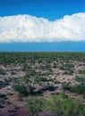 Film Image Sonora Desert Arizona