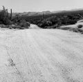 Film Image Sonora Desert Dirt Road Arizona Monochrome Royalty Free Stock Photo