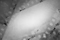 Film negatives grey background Royalty Free Stock Photo