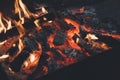 Film style photo creative: warm fireplace with lots of trees ready for barbecue on the nature. Royalty Free Stock Photo