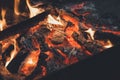 Film style photo creative: warm fireplace with lots of trees ready for barbecue on the nature. Royalty Free Stock Photo