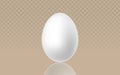 Single white egg on a reflective beige background. Realistic vector illustration for food, nutrition, or Easter themes. Royalty Free Stock Photo