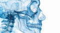 Film x-ray skull and cervical spine lateral view Royalty Free Stock Photo