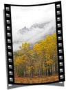 Filmstrip Frame