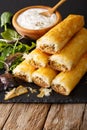 Filo rolls stuffed with minced meat and eggs close-up and yogurt