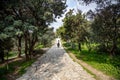 Filopappou hill, Athens, Greece, trees background