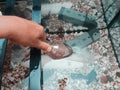 Hand cleaning fish tank