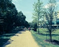 Filtered image healthy people running and biking on natural trail