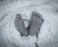 Filtered image newborn baby feet covered in plush lining blanket Royalty Free Stock Photo