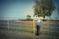 Filtered image rear view of senior lady take photo of Bluebonnet blooming