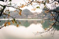 Filtered image yellow leaves of freshwater mangrove and Tortoise Tower at Hoan Kiem Lake, Hanoi