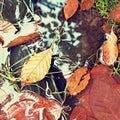 Filtered photo.Gravel at mountain river covered with fall leaves