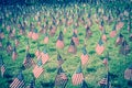 Filtered tone American flags in a green field commemorating a national holiday in USA Royalty Free Stock Photo