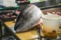 Fin Tuna Fish Head on Chopping Fish of selling fish display n th Royalty Free Stock Photo