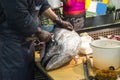 Fin Tuna Fish Head on Chopping Fish of selling fish display n th Royalty Free Stock Photo