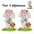 Fina differences (sheep)