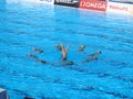 FINA World Championship