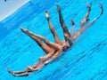 FINA world championship 2009 Royalty Free Stock Photo