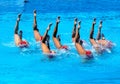 FINA world championship 2009 Royalty Free Stock Photo